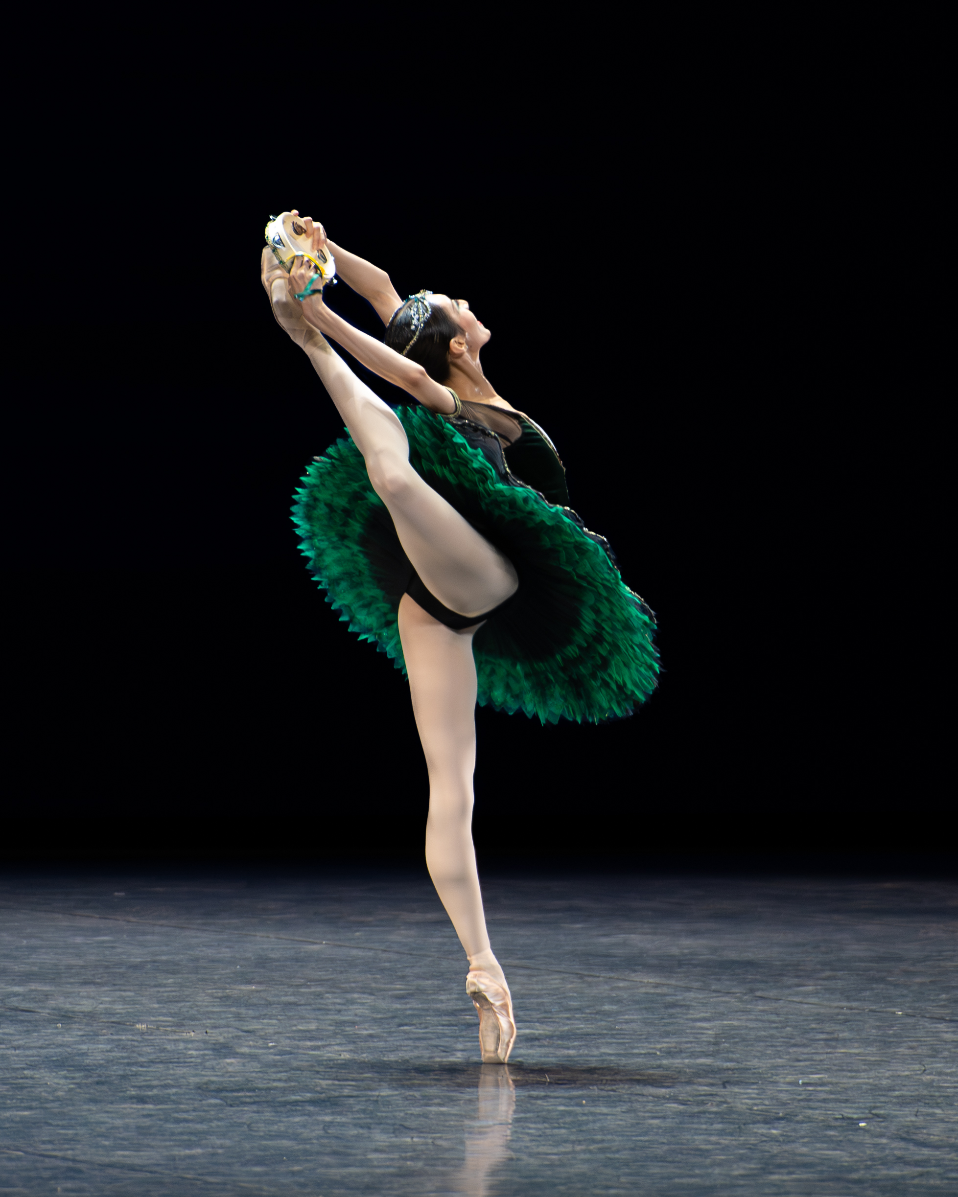 Vous consultez actuellement Photographe de danse en Alsace
